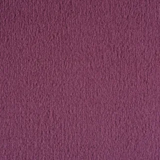 Ковролин Radici Nеxus Cassis 8250