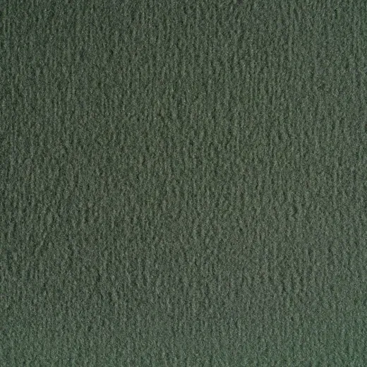 Ковролин Radici Nеxus Lichene 8225