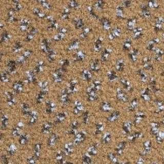 Ковровая плитка Balsan Impression 769