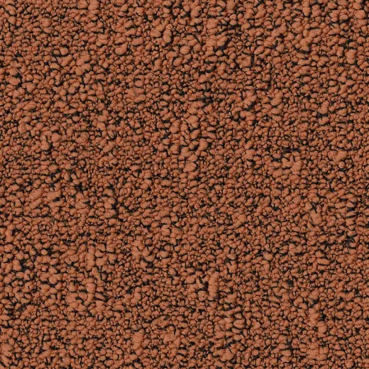 Ковровая плитка Desso Fields 5012