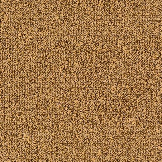 Ковровая плитка Desso Fields 6011