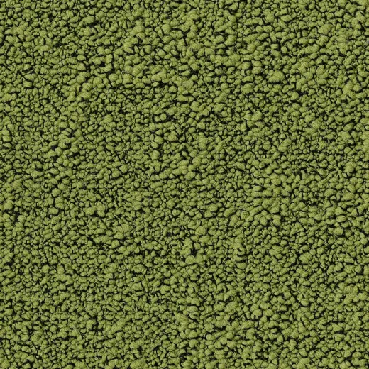 Ковровая плитка Desso Fields 7072
