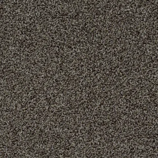 Ковровая плитка Desso Torso 2914