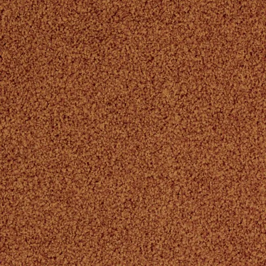 Ковровая плитка Desso Torso 5103