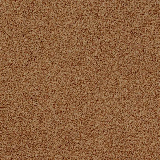 Ковровая плитка Desso Torso 5213