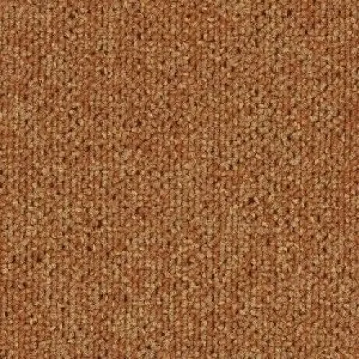 Ковровая плитка Tecsom Dallas Camera 00056