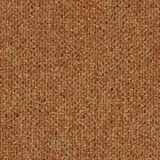 Ковровая плитка Tecsom Dallas Camera 00056