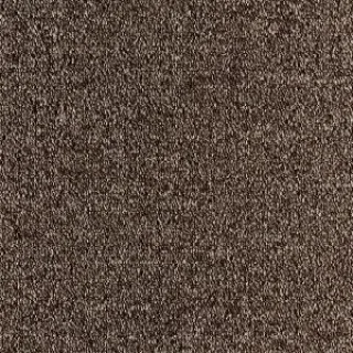 Ковровая плитка Tecsom Dallas Prime 00044