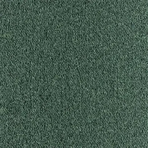 Ковровая плитка Tecsom Dallas Prime 00087