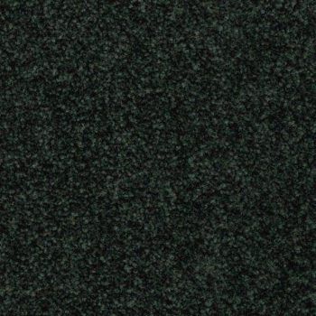 Ковровая плитка RCT Riva 790
