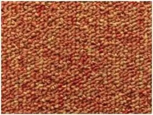 Ковровая плитка Escom Nice 123