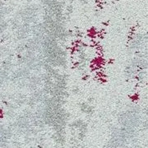 Ковровая плитка Innovflor Colorkey А-05