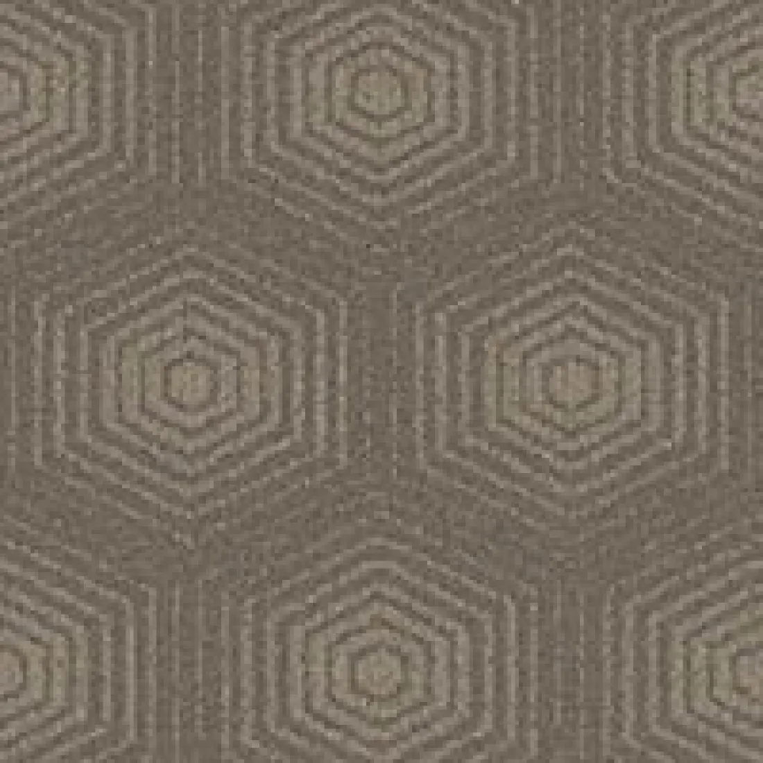 Ковролин Standart Carpets Hipno V 12955