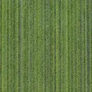 Ковровая плитка Innovflor Illusion A02