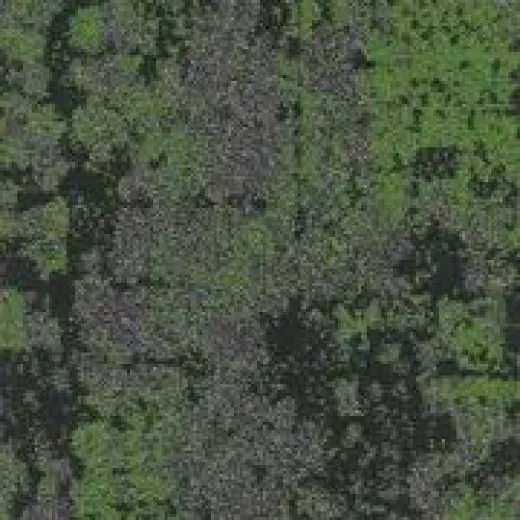 Ковровая плитка Innovflor Nature 03